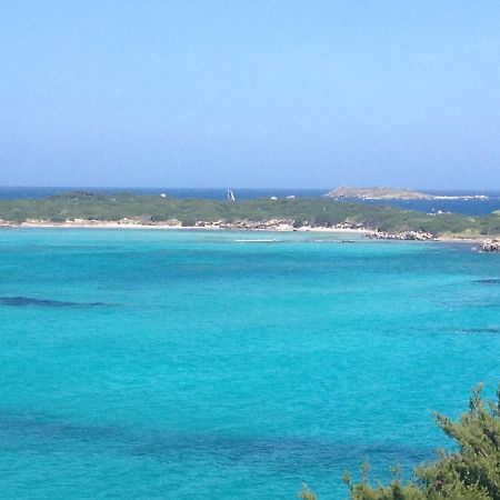 Grand Studio Route Des Sanguinaires Tres Belle Vue Mer Apartment Ajaccio  Ngoại thất bức ảnh
