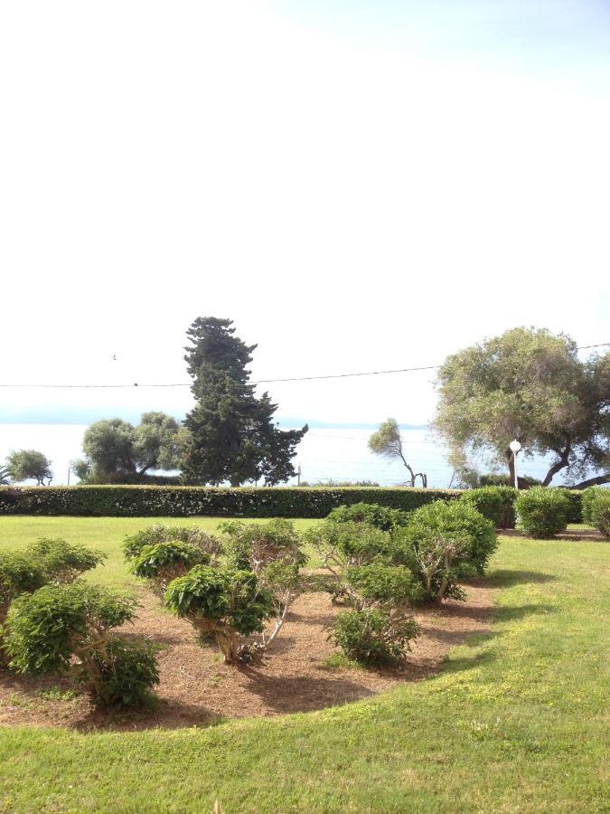 Grand Studio Route Des Sanguinaires Tres Belle Vue Mer Apartment Ajaccio  Ngoại thất bức ảnh