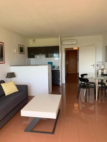 Grand Studio Route Des Sanguinaires Tres Belle Vue Mer Apartment Ajaccio  Ngoại thất bức ảnh