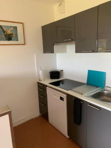 Grand Studio Route Des Sanguinaires Tres Belle Vue Mer Apartment Ajaccio  Ngoại thất bức ảnh
